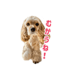 元気なここはちゃんの日常使えるスタンプ（個別スタンプ：8）