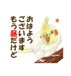 オカメインコのポポちゃんスタンプ（個別スタンプ：3）