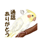 オカメインコのポポちゃんスタンプ（個別スタンプ：11）