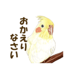 オカメインコのポポちゃんスタンプ（個別スタンプ：15）