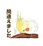 オカメインコのポポちゃんスタンプ（個別スタンプ：19）