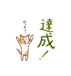 にゃんこ先生たちの二字熟語スタンプ（個別スタンプ：8）