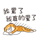 ランラン猫 25 (台湾版)（個別スタンプ：7）