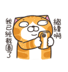ランラン猫 25 (台湾版)（個別スタンプ：8）