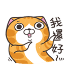 ランラン猫 25 (台湾版)（個別スタンプ：13）