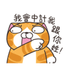 ランラン猫 25 (台湾版)（個別スタンプ：14）