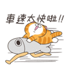 ランラン猫 25 (台湾版)（個別スタンプ：24）