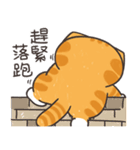 ランラン猫 25 (台湾版)（個別スタンプ：31）
