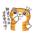 ランラン猫 25 (台湾版)（個別スタンプ：36）