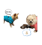 こっちゃん♂らみちゃん♀（個別スタンプ：3）