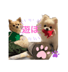 こっちゃん♂らみちゃん♀（個別スタンプ：5）