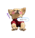 こっちゃん♂らみちゃん♀（個別スタンプ：6）