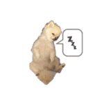 こっちゃん♂らみちゃん♀（個別スタンプ：9）