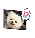 こっちゃん♂らみちゃん♀（個別スタンプ：12）
