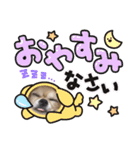 こっちゃん♂らみちゃん♀（個別スタンプ：15）