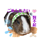 Choco families LOVE LOVE(日本語＆台湾語)（個別スタンプ：23）