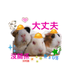 Choco families LOVE LOVE(日本語＆台湾語)（個別スタンプ：34）