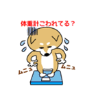 Mr.柴犬のパワーワード（個別スタンプ：13）