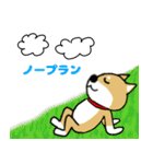 Mr.柴犬のパワーワード（個別スタンプ：20）