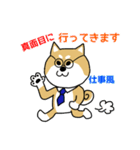 Mr.柴犬のパワーワード（個別スタンプ：28）