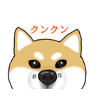 Mr.柴犬のパワーワード（個別スタンプ：29）