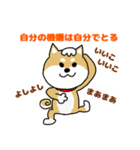 Mr.柴犬のパワーワード（個別スタンプ：34）