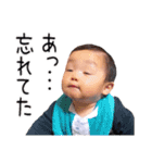 りゅうりくすたんぷ（個別スタンプ：14）