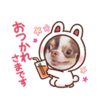 チワワの日常ことば（個別スタンプ：4）