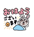 チワワの日常ことば（個別スタンプ：6）