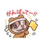 チワワの日常ことば（個別スタンプ：8）