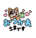 チワワの日常ことば（個別スタンプ：10）