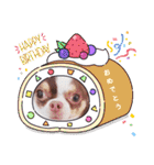 チワワの日常ことば（個別スタンプ：17）
