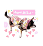 チワワの日常ことば（個別スタンプ：19）