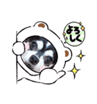 チワワの日常ことば（個別スタンプ：27）