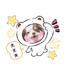 チワワの日常ことば（個別スタンプ：30）