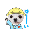 チワワの日常ことば（個別スタンプ：32）