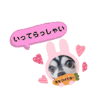 チワワの日常ことば（個別スタンプ：37）