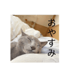 うちの子達しか勝たん（個別スタンプ：2）