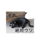 うちの子達しか勝たん（個別スタンプ：8）