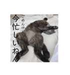 うちの子達しか勝たん（個別スタンプ：14）