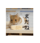 うちの子達しか勝たん（個別スタンプ：18）