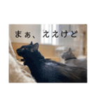 うちの子達しか勝たん（個別スタンプ：19）