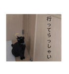 うちの子達しか勝たん（個別スタンプ：31）