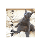 うちの子達しか勝たん（個別スタンプ：32）
