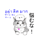 タイ語ニャンズ 6（個別スタンプ：9）