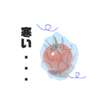 新鮮トマト君のスタンプ（個別スタンプ：24）