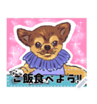 うちの三バカ犬（個別スタンプ：3）