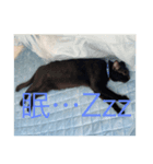 黒猫チャージャーのスタンプです（個別スタンプ：4）