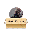 めろフレームスタンプ¹¹弾✩•*¨（個別スタンプ：12）