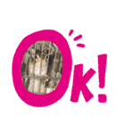 めろフレームスタンプ¹¹弾✩•*¨（個別スタンプ：13）